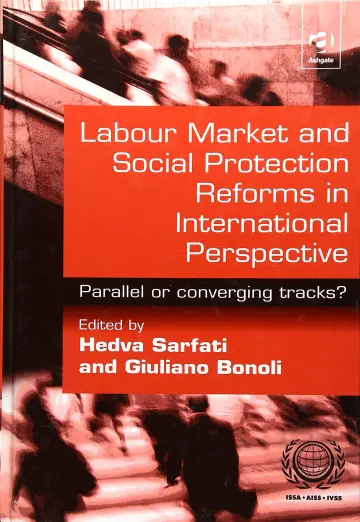 Cover of Labour Market and Social Protection Reforms in International Perspective