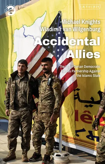 Cover of Accidental Allies
