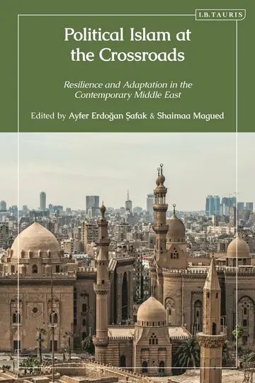 Cover of Political Islam at the Crossroads