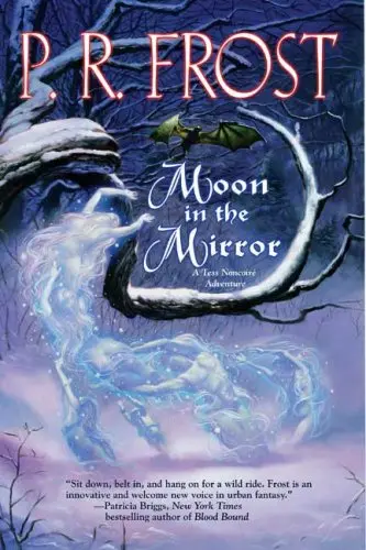 Cover of Moon in the Mirror