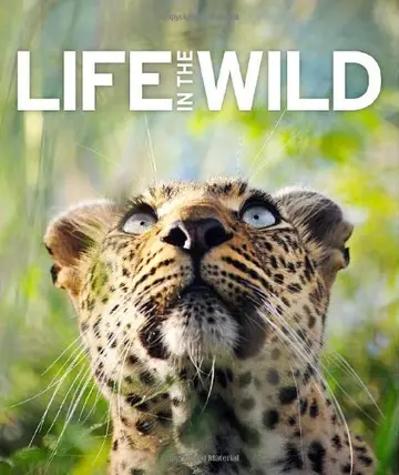 Cover of Life in the Wild