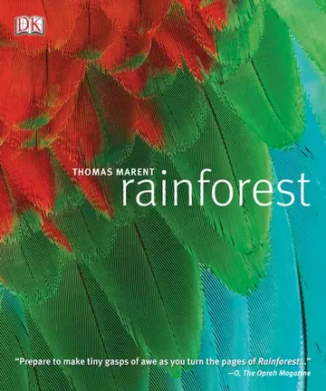 Cover of Rainforest