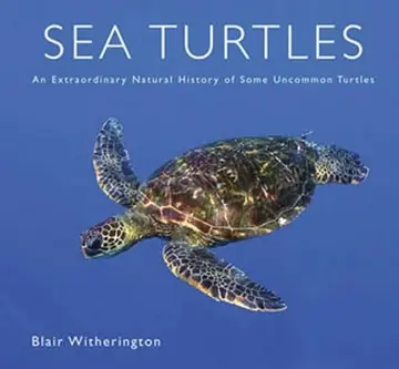 Cover of Sea Turtles