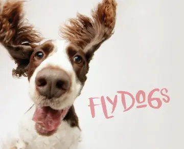 Cover of Flydogs
