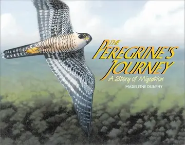 Cover of The Peregrine's Journey