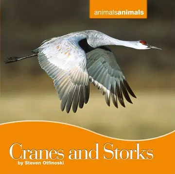 Cover of Cranes and Storks