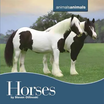 Cover of Horses