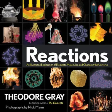 Cover of Reactions