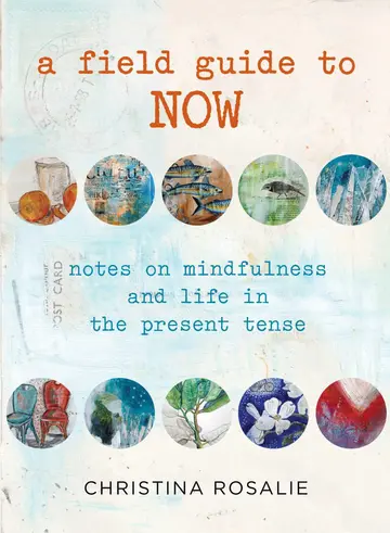 Cover of Field Guide to Now