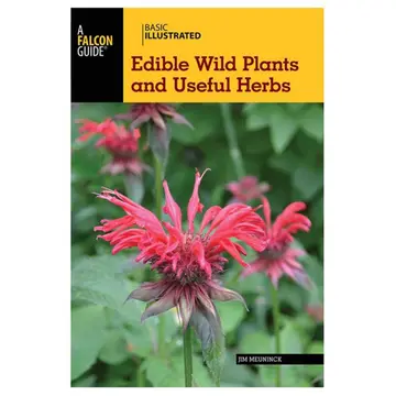Cover of Basic Illustrated Edible Wild Plants and Useful Herbs