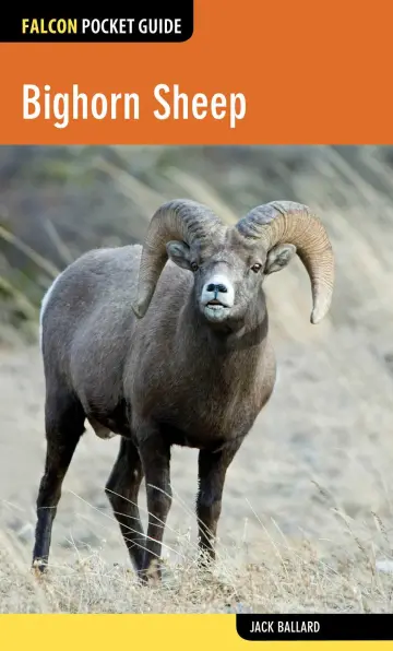 Cover of Bighorn Sheep