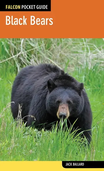 Cover of Black Bears