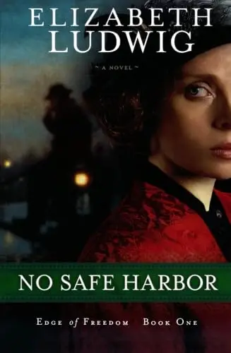 Cover of No Safe Harbor