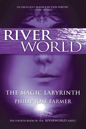 Cover of The Magic Labyrinth