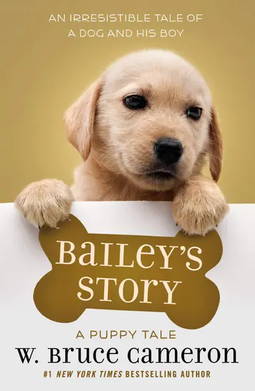 Cover of Bailey's Story