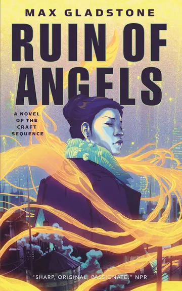 Cover of The Ruin of Angels