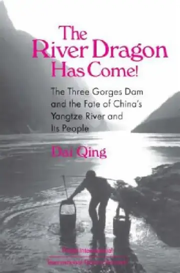 Cover of The River Dragon Has Come!