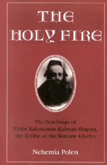 Cover of Holy Fire