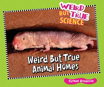 Cover of Weird but True Animal Homes