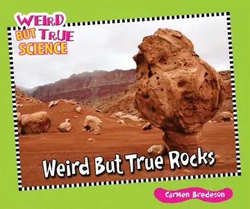 Cover of Weird but True Rocks