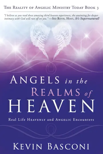 Cover of Angels in the Reals of Heaven