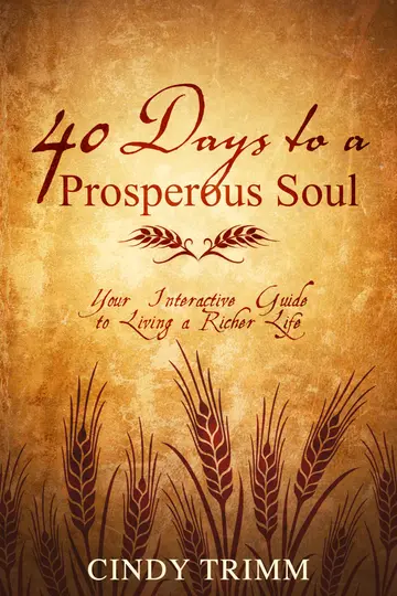 Cover of 40 Days to a Prosperous Soul