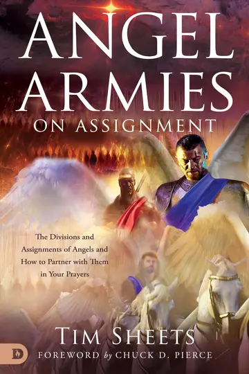 Cover of Angel Armies on Assignment