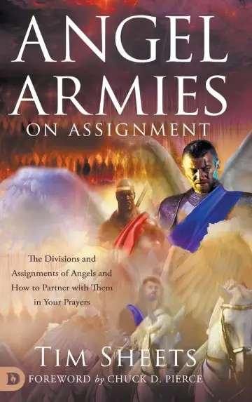 Cover of Angel Armies on Assignment