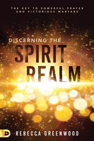 Cover of Discerning the Spirit Realm