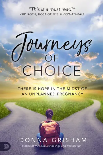 Cover of Journeys of Choice