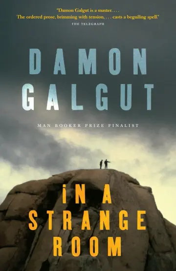 Cover of In a Strange Room