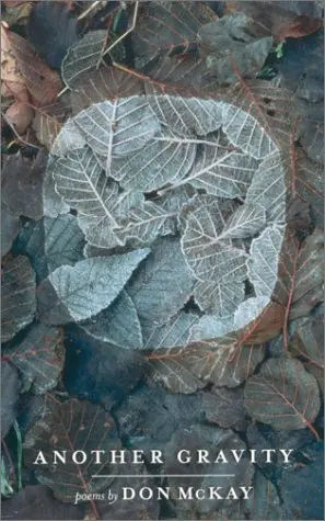 Cover of Another Gravity