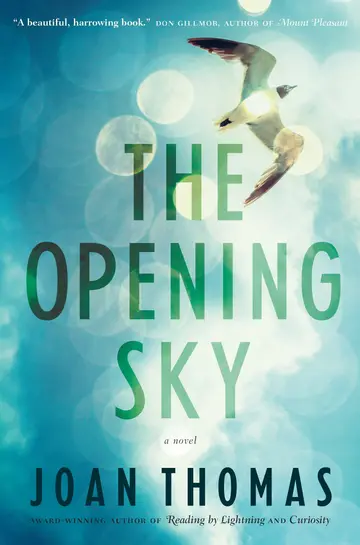 Cover of The Opening Sky