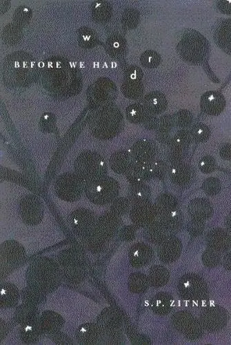 Cover of Before We Had Words