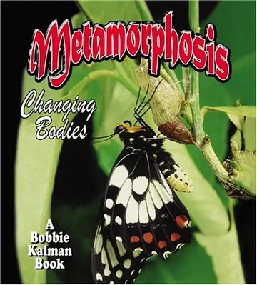 Cover of Metamorphosis