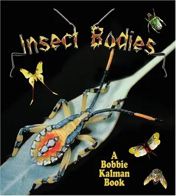 Cover of Insect Bodies
