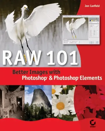 Cover of Raw 101