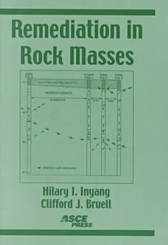 Cover of Remediation in Rock Masses