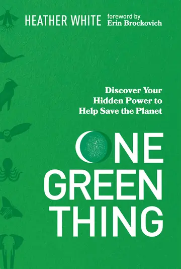 Cover of One Green Thing