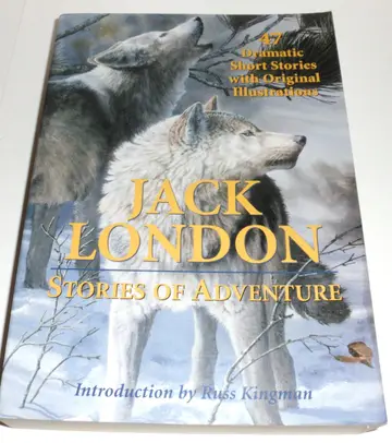 Cover of Stories of Adventure
