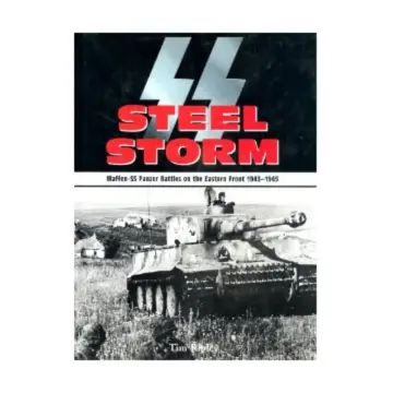 Cover of Steel Storm