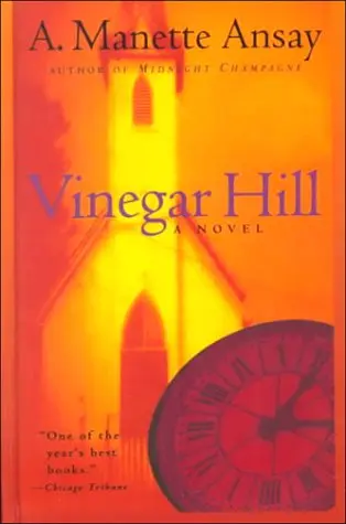 Cover of Vinegar Hill