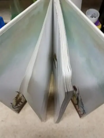 Cover of In the Realm of the Never Fairies