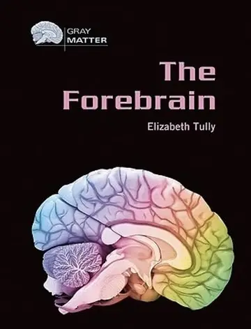 Cover of The Forebrain
