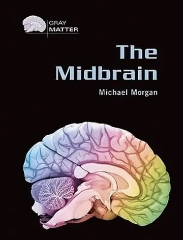 Cover of The Midbrain