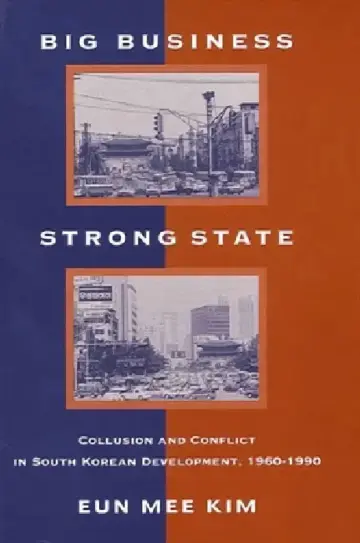 Cover of Big Business, Strong State