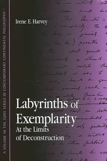 Cover of Labyrinths of Exemplarity