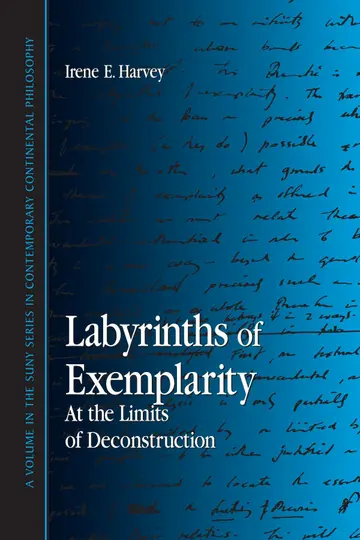 Cover of Labyrinths of Exemplarity