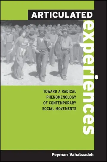 Cover of Articulated Experiences