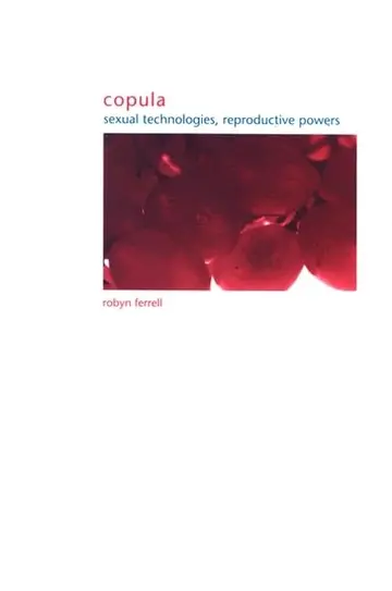 Cover of Copula